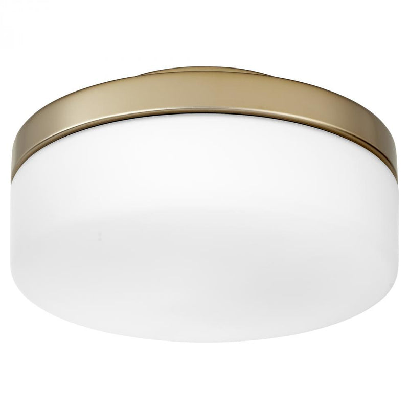 1 Light 8.13" LED Light Kit