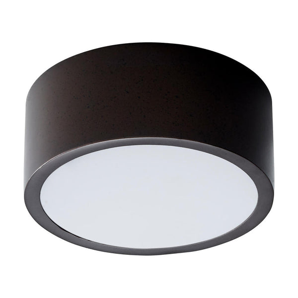 Peepers LED Ceiling Mount