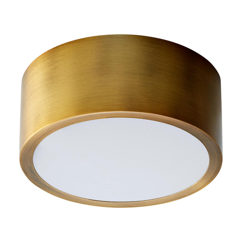 Peepers LED Ceiling Mount