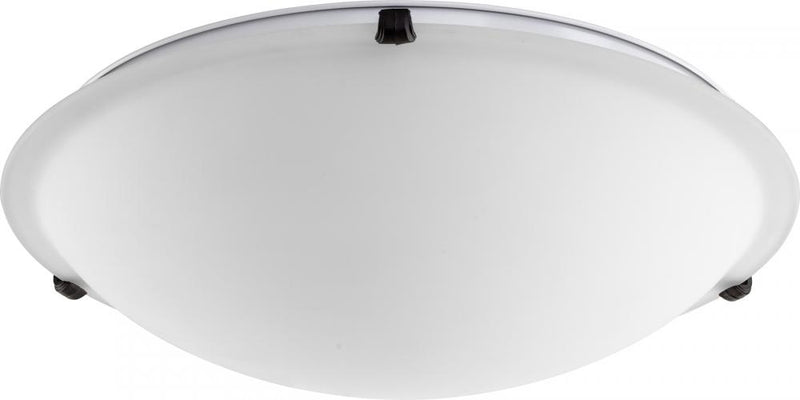 Transitional 4 Light Ceiling Mount, 20" Wide