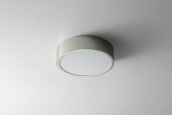 Peepers LED Ceiling Mount