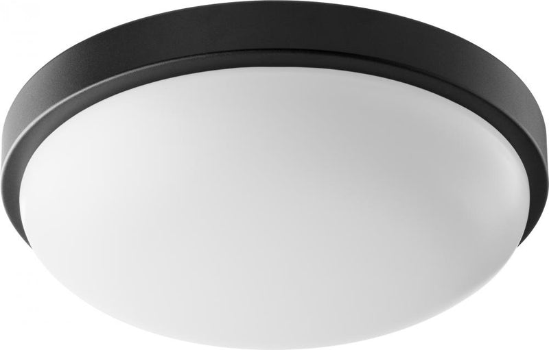 Transitional 1 Light Ceiling Mount, 11.5" Wide